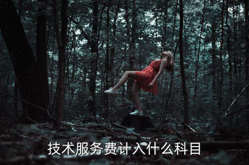 技術(shù)服務(wù)收入計(jì)入什么科目，收到技術(shù)服務(wù)費(fèi)計(jì)入什么科目