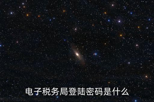 納稅人登路的密碼是什么，國稅第一次網(wǎng)上申報的登陸密碼是什么