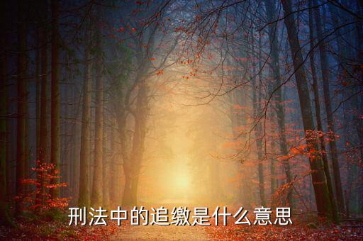 為什么 追繳期限，信用卡還款期限已過多久才追繳