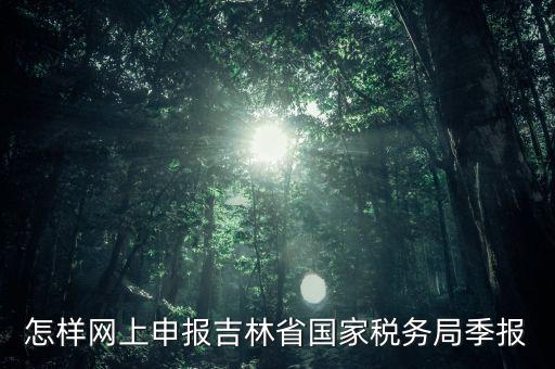 吉林省用什么報(bào)稅系統(tǒng)，吉林省的報(bào)稅系統(tǒng)如何使用