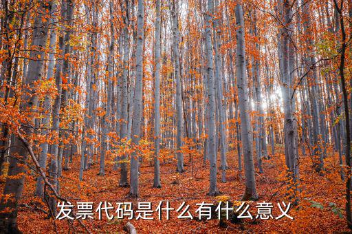 票據(jù)代碼是什么意思，中國航空票證結(jié)算代碼是什么意思