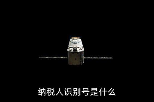 海寧市國家稅務(wù)局認(rèn)別號(hào)是什么，納稅人識(shí)別號(hào)是什么