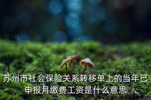 社保已申報(bào)是什么意思，新手求助請問網(wǎng)上申報(bào)是什么意思