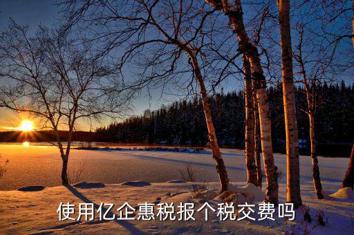 深圳億企惠稅報什么稅，稅友億企惠稅是用來申報地稅還是國稅