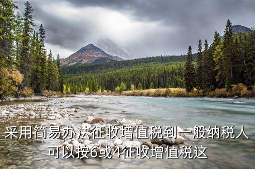 什么是簡易征收辦法征收增值稅，采用簡易辦法征收增值稅到一般納稅人可以按6或4征收增值稅這