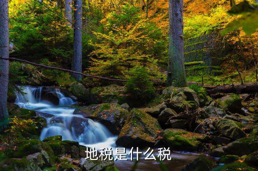 地稅專項收入是什么稅，地稅是什么稅