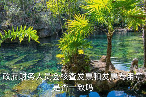 什么情況會(huì)核查發(fā)票，就是稅務(wù)局導(dǎo)出數(shù)據(jù)的時(shí)候會(huì)不會(huì)核對(duì)一下發(fā)票的因?yàn)槲也淮_定自
