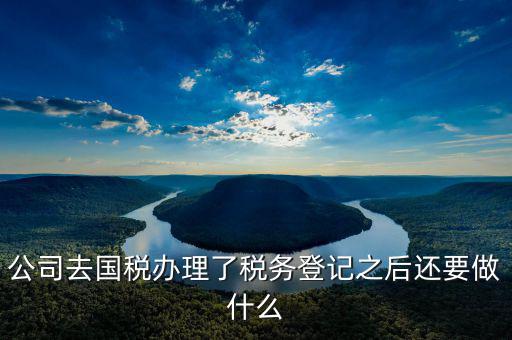 國(guó)稅辦完之后辦什么，公司去國(guó)稅辦理了稅務(wù)登記之后還要做什么