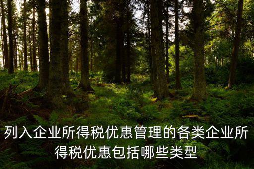 企業(yè)所得稅優(yōu)惠事項(xiàng)名稱指什么，享受企業(yè)所得稅優(yōu)惠申請表中稅收優(yōu)惠事項(xiàng)名稱怎么填