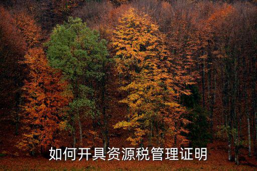資源稅乙種證明要什么資料，混凝土公司購買砂石需要開具資源稅乙種證明嗎