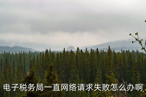 貴州省網(wǎng)上稅務局為什么打不開，怎么打不開貴州地方稅務局網(wǎng)站