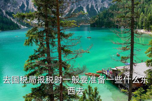 去國稅局交稅需要帶什么，去國稅局報稅時一般要準(zhǔn)備一些什么東西去