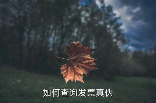查驗發(fā)票需要什么信息，發(fā)票怎么去稅務局驗證需要什么資料