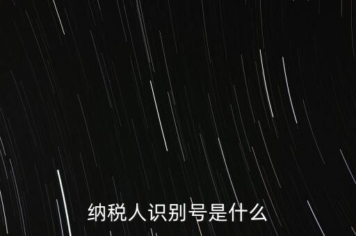 電子稅務(wù)局納稅人識(shí)別號(hào)是什么，納稅人識(shí)別號(hào)是什么