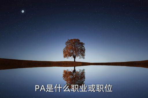 河南省國(guó)稅局陳紅偉什么職務(wù)，PA是什么職業(yè)或職位