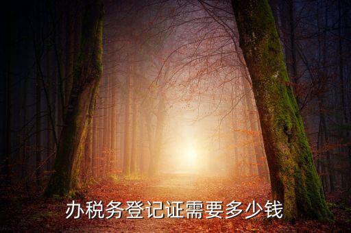 稅務局登記需要什么手續(xù)費，辦稅務登記證需要多少錢
