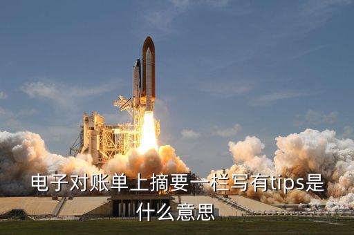 國稅tips系統(tǒng)指什么，電子對賬單上摘要一欄寫有tips是什么意思
