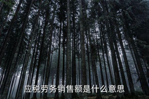 稅勞務(wù)銷售額是什么，增值稅會(huì)計(jì)處理銷售貨物或應(yīng)稅勞務(wù)的銷售額
