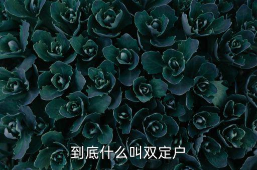 什么是雙定戶，雙翅一一翻雙眉什么雙眼什么