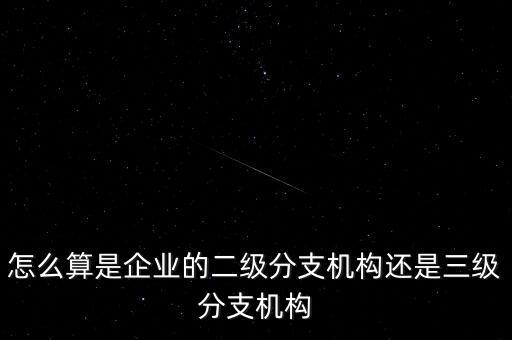 什么叫企業(yè)二級分支機(jī)構(gòu)，現(xiàn)在分公司要辦稅務(wù)登記證但是我想問一下二級分機(jī)構(gòu)指的是