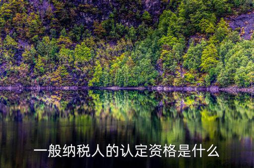 一般納稅人資格證書是什么，一般納稅人的認定資格是什么