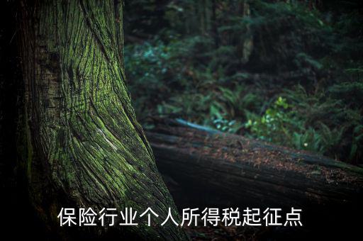 保險行業(yè)入交什么稅，保險行業(yè)個人所得稅起征點