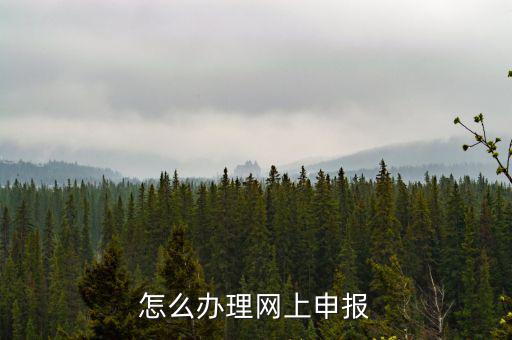 航天數(shù)字證書是什么，機打發(fā)票上顯示輸入正確的數(shù)字證書怎么回事