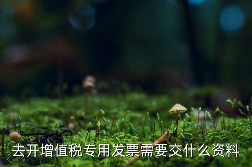開專票需要對方什么資料，開具增值稅專用發(fā)票需要購買方提交什么資料稅屋