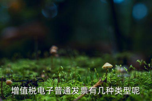 普通發(fā)票有什么種類，發(fā)票分幾種