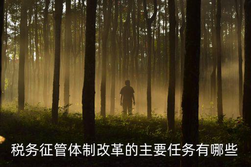 稅務(wù)系統(tǒng)的業(yè)務(wù)改革都有什么，稅務(wù)征管體制改革的主要任務(wù)有哪些