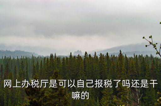 云廳報(bào)稅是什么意思，網(wǎng)上辦稅廳是可以自己報(bào)稅了嗎還是干嘛的