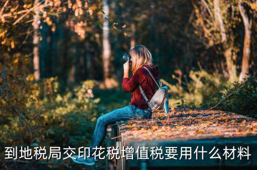 賬簿印花稅去地稅買要帶什么資料，購買印花稅帶什么資料
