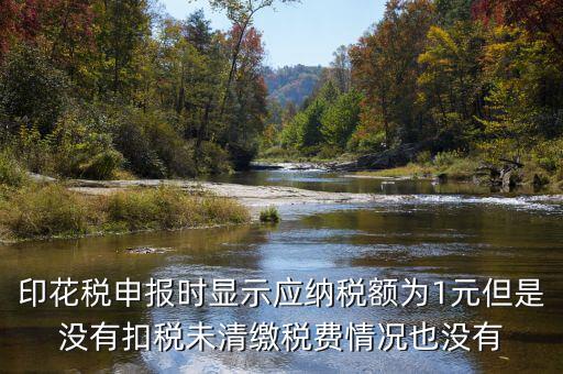 印花稅是1的時(shí)候?yàn)槭裁床豢劭?，印花稅申?bào)時(shí)顯示應(yīng)納稅額為1元但是沒(méi)有扣稅未清繳稅費(fèi)情況也沒(méi)有