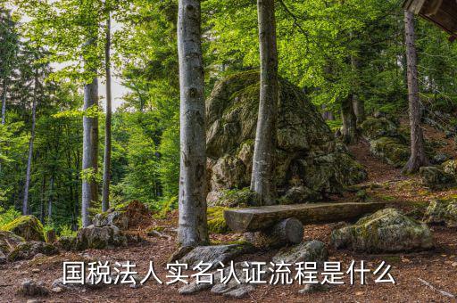 稅務實名認證需要什么，在國稅局辦理實名認證要準備哪些資料
