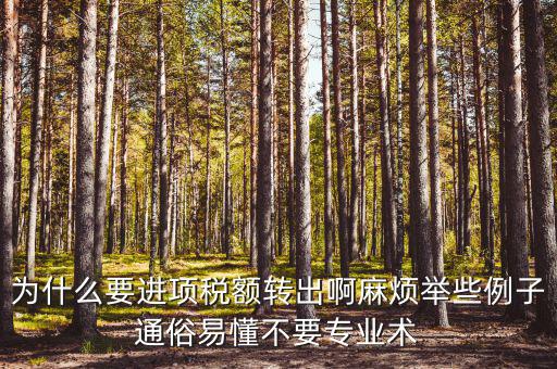 為什么要進項稅額轉(zhuǎn)出，為什么要進項稅額轉(zhuǎn)出啊麻煩舉些例子通俗易懂不要專業(yè)術(shù)
