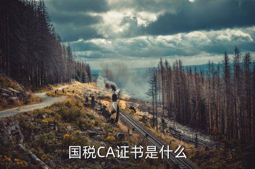 國稅密鑰和證書是什么意思，增值稅專用發(fā)票辦理秘鑰是什么意思