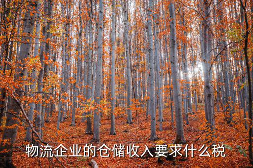 倉(cāng)儲(chǔ)物流公司繳納什么稅，我是會(huì)計(jì)新手 請(qǐng)問(wèn)各位師傅們物流公司應(yīng)繳納什么稅