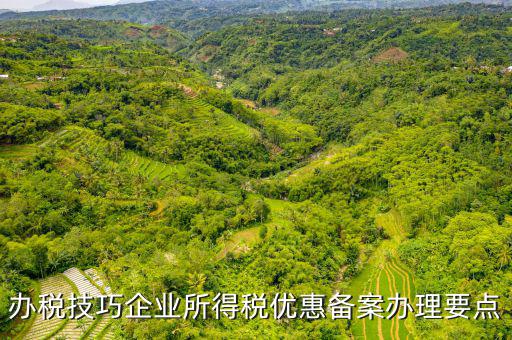 稅收優(yōu)惠事項(xiàng)備案項(xiàng)目是什么，企業(yè)所得稅需備案的事項(xiàng)包括哪些