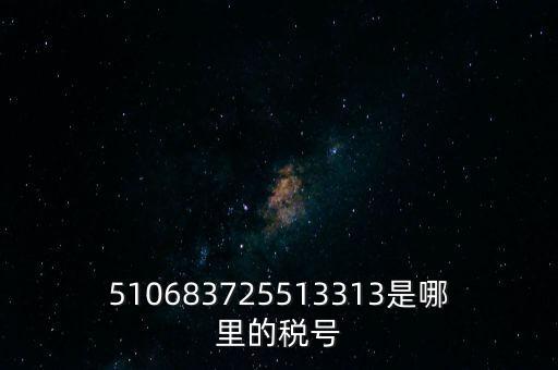 陜西省地方的稅號(hào)開頭是什么，510683725513313是哪里的稅號(hào)