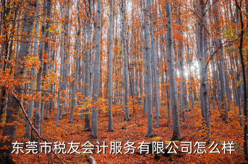 東莞稅友是做什么的，稅友集團(tuán)是做什么的