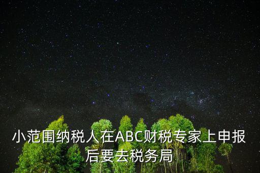 財稅專家是報什么稅，小范圍納稅人在ABC財稅專家上申報后要去稅務(wù)局