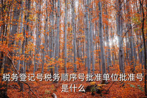 稅務(wù)登記號稅務(wù)順序號批準單位批準號是什么
