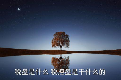 中稅協(xié)安全盤是什么，稅盤是什么 稅控盤是干什么的