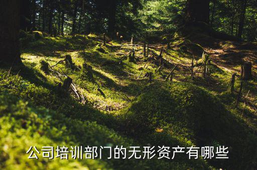 其他權(quán)益性無形資產(chǎn)是什么，無形資產(chǎn)屬于什么科目