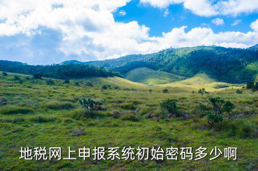 原江蘇地稅登陸初始密碼是什么，國(guó)家稅務(wù)總局網(wǎng)上辦稅服務(wù)廳初始密碼是什么