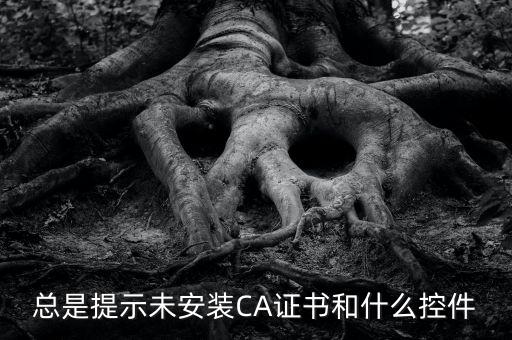 ca控件是什么意思，您是地稅CA用戶但未安裝企業(yè)CA控件為不影響申報功能正常使用請點
