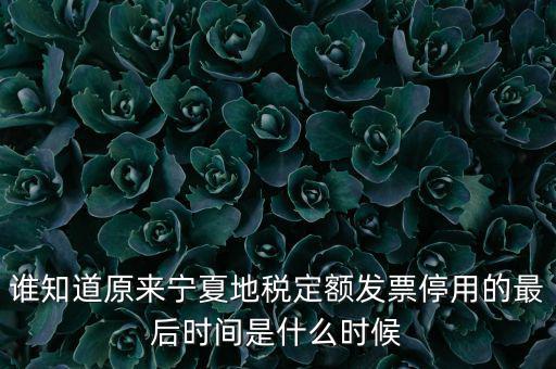 地稅的發(fā)票什么時候不能用，誰知道原來寧夏地稅定額發(fā)票停用的最后時間是什么時候