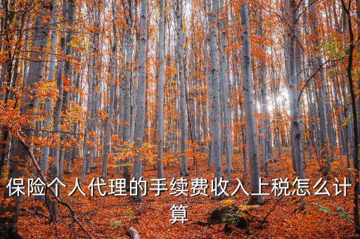 保險(xiǎn)代理員交什么稅，請問從車輛保險(xiǎn)代理人的提承里扣的稅是什么稅啊