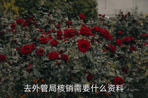 去外管局核銷(xiāo)需要什么資料