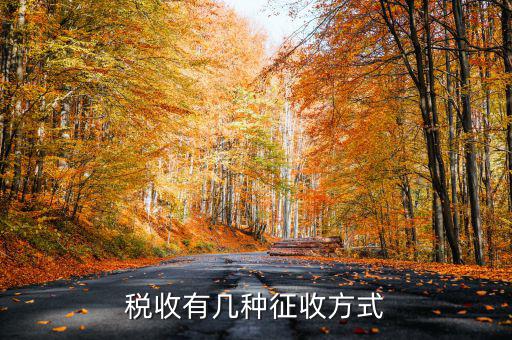 稅務(wù)征非稅采取什么方式，稅務(wù)征收有哪幾種